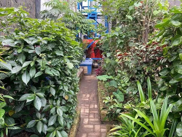 Tentang Buruan SAE