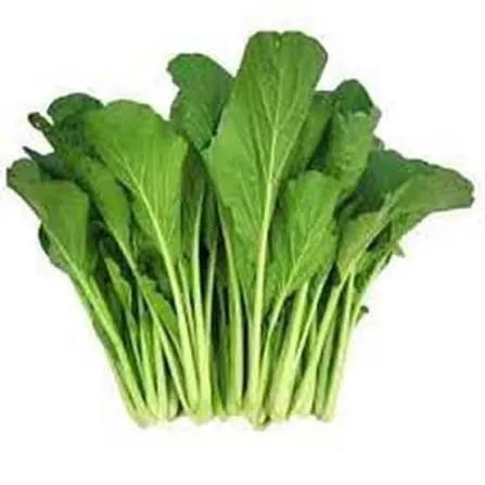 Sosin per 500gr